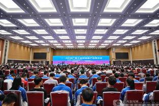 广西南宁新闻在线爆料,揭秘重大事件背后真相  第3张